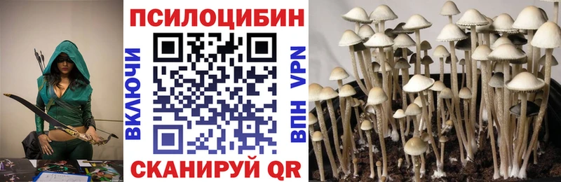 Галлюциногенные грибы мицелий Химки